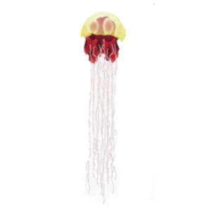 Gold Bell Lion's Mane Jellyfish